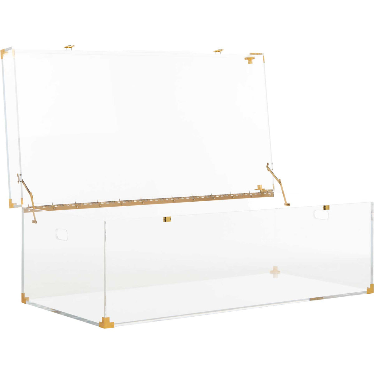 Isabel Acrylic Trunk Coffee Table Clear/Brass