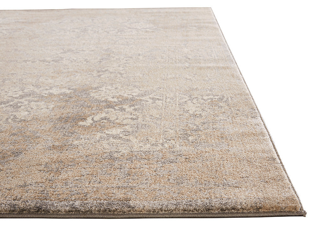 Terracotta Kassandra Gray/Silver Area Rug