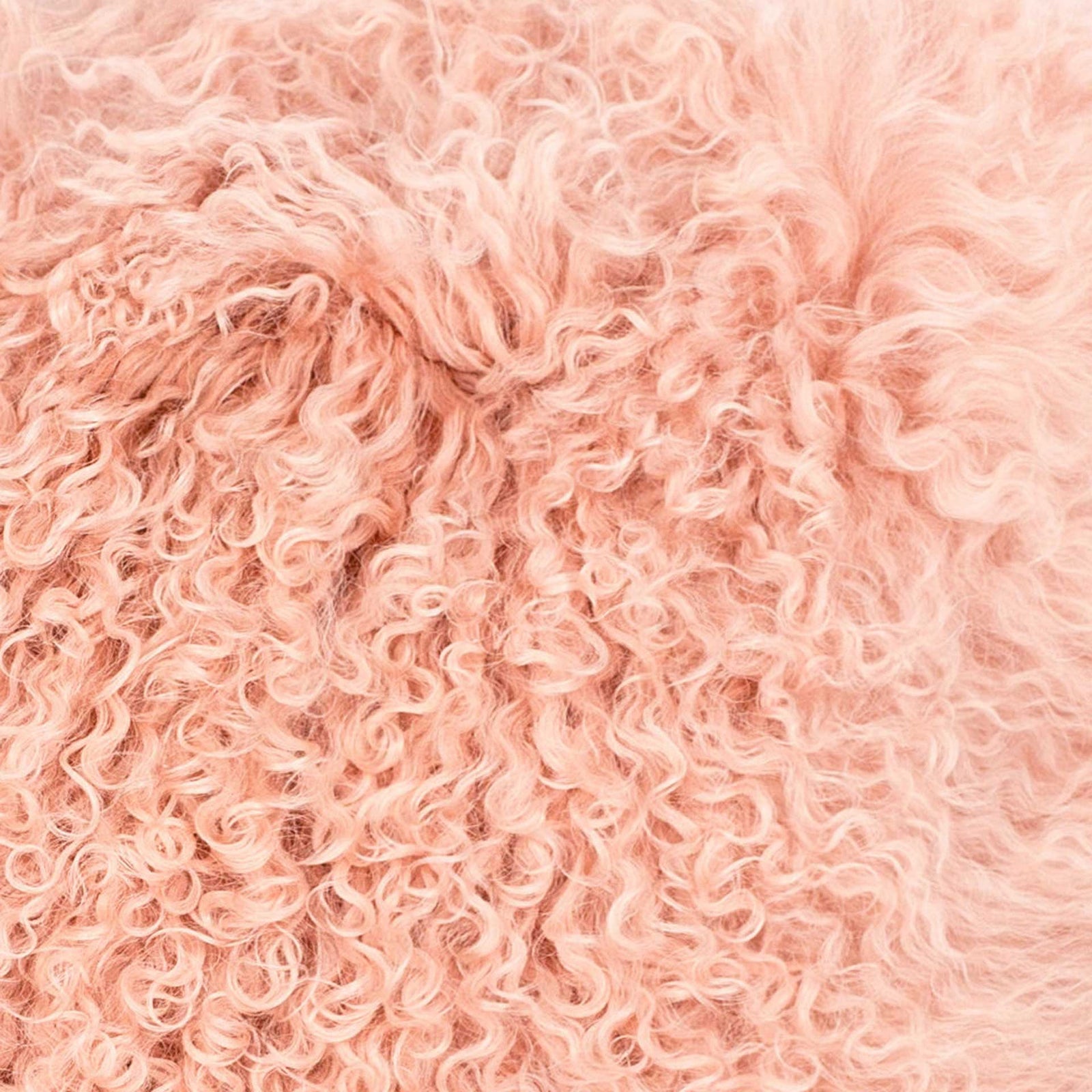 Tibetan Sheep Pillow Blush