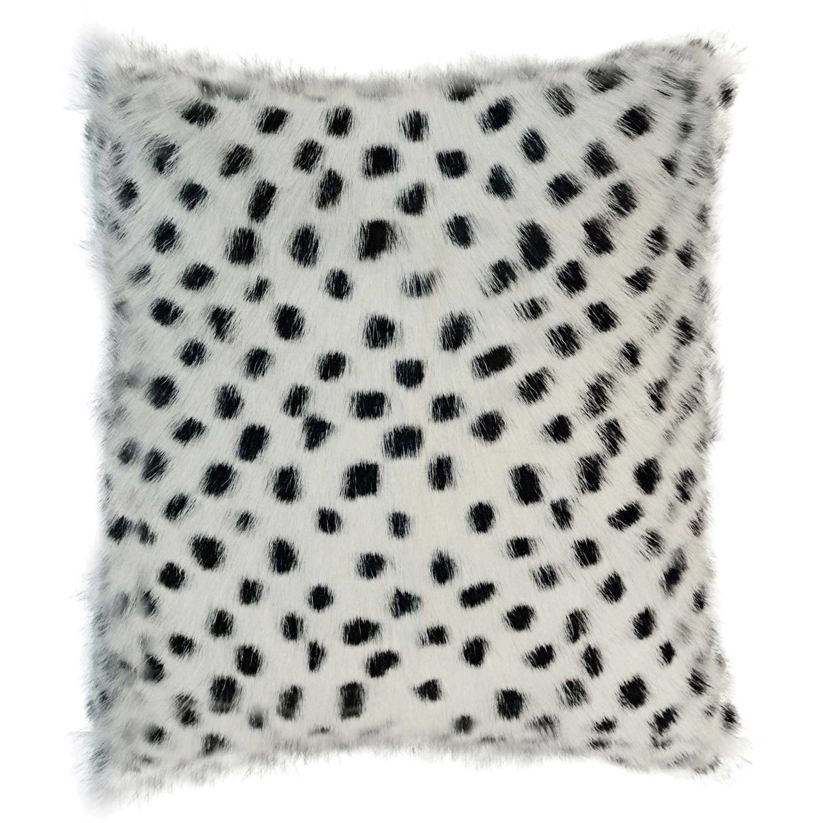16" x 16"