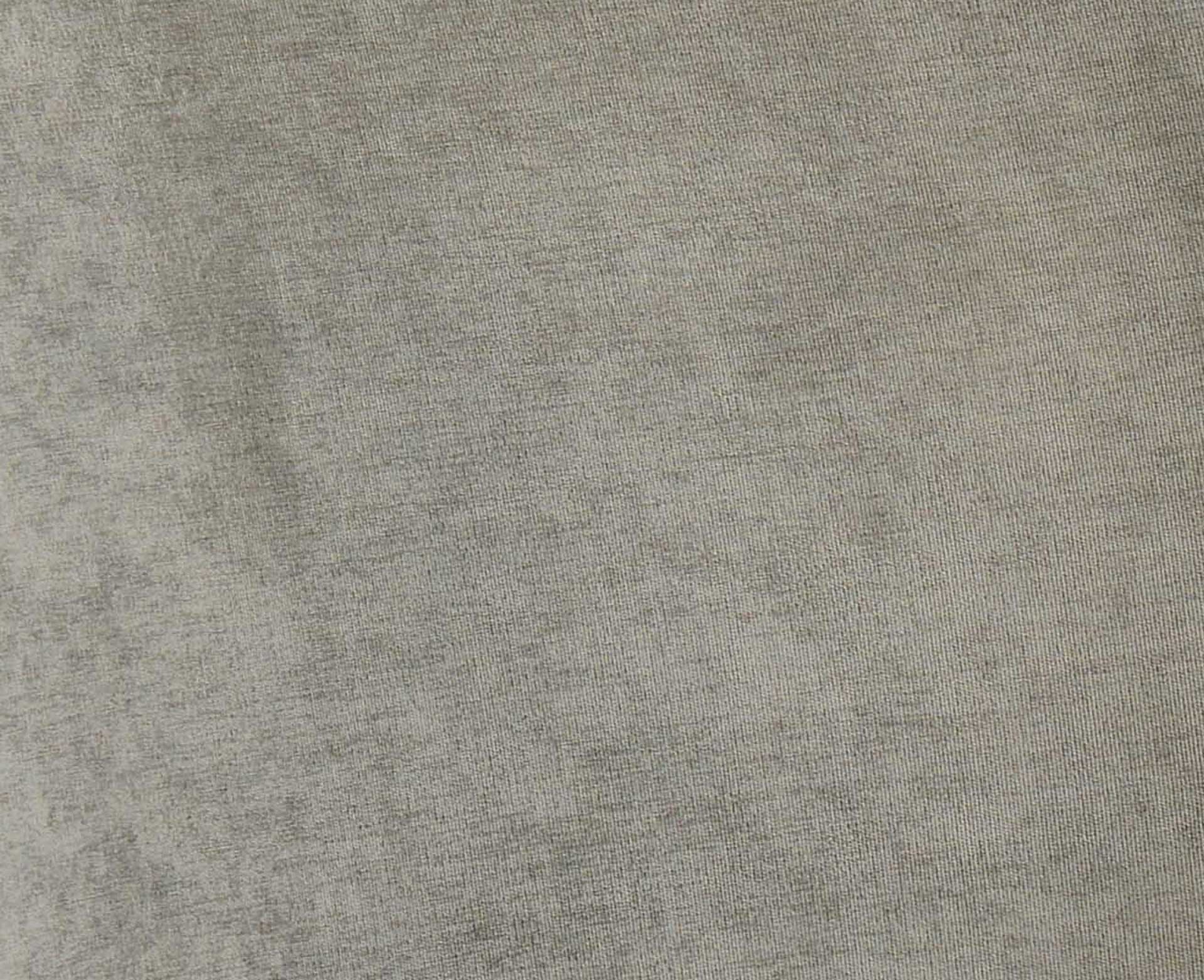 Eventide Silver Legs Velvet Chair Gray (Set of 2)
