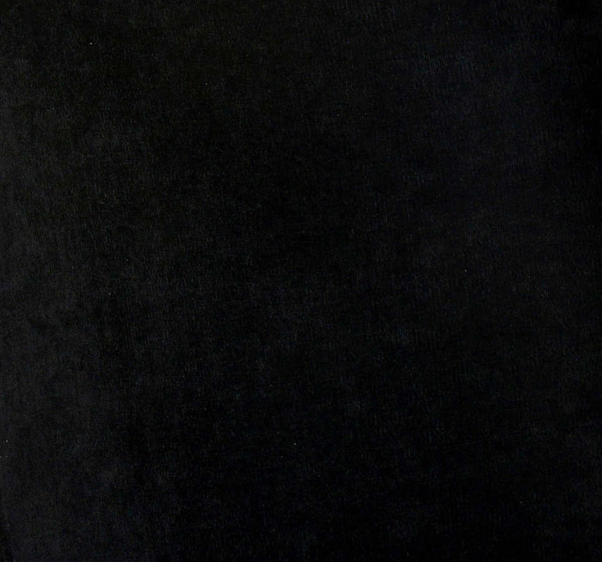 Eventide Silver Legs Velvet Chair Black (Set of 2)