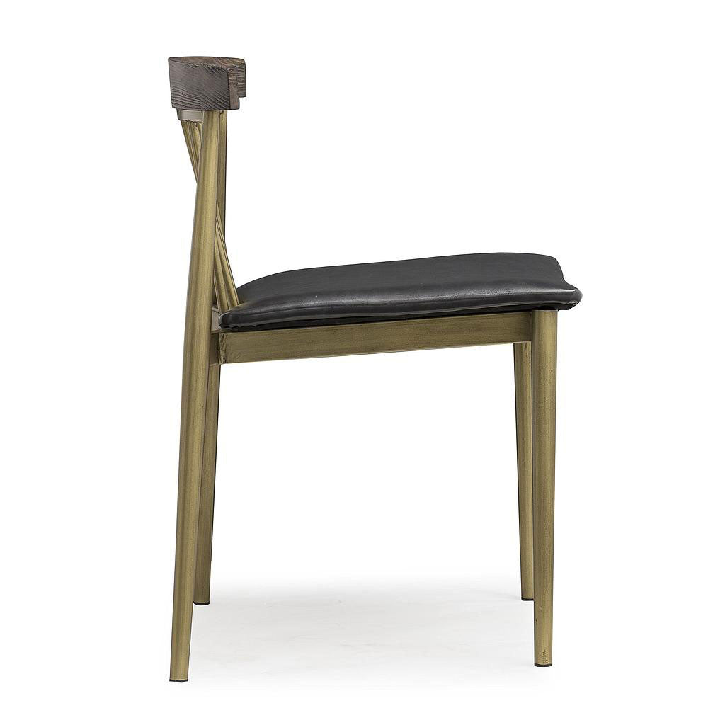 Autumn Chair Gray/Brushed Brass (Set of 2)