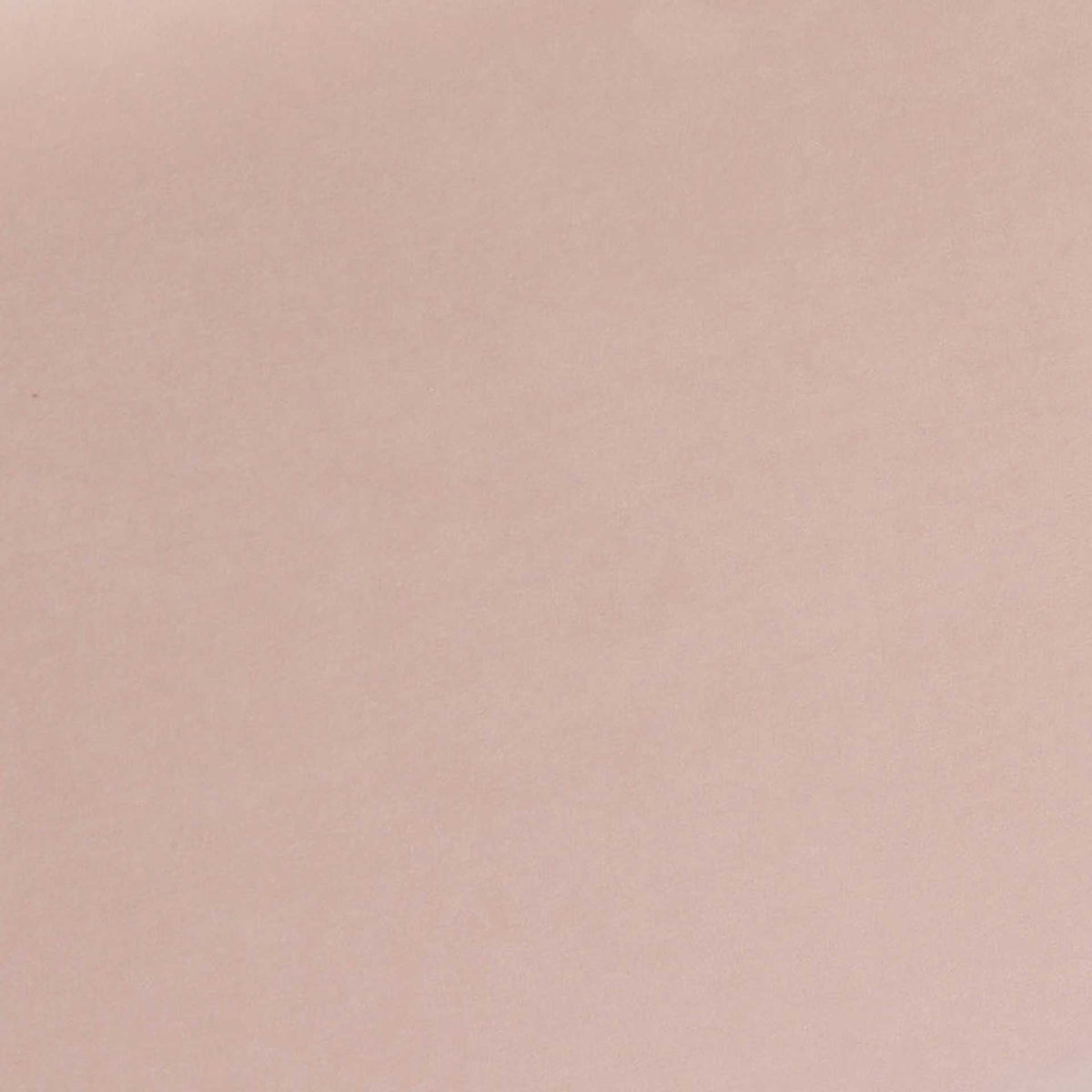 Zion Velvet Storage Bench Blush