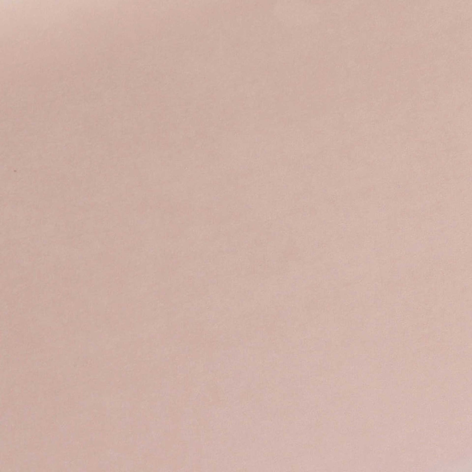 Zion Velvet Storage Bench Blush