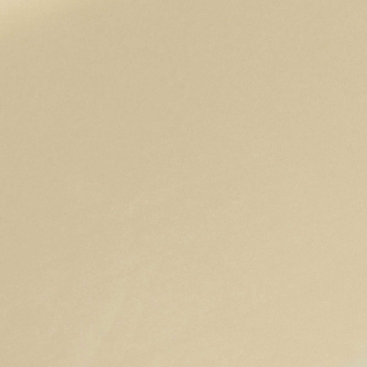 Zion Velvet Storage Bench Cream