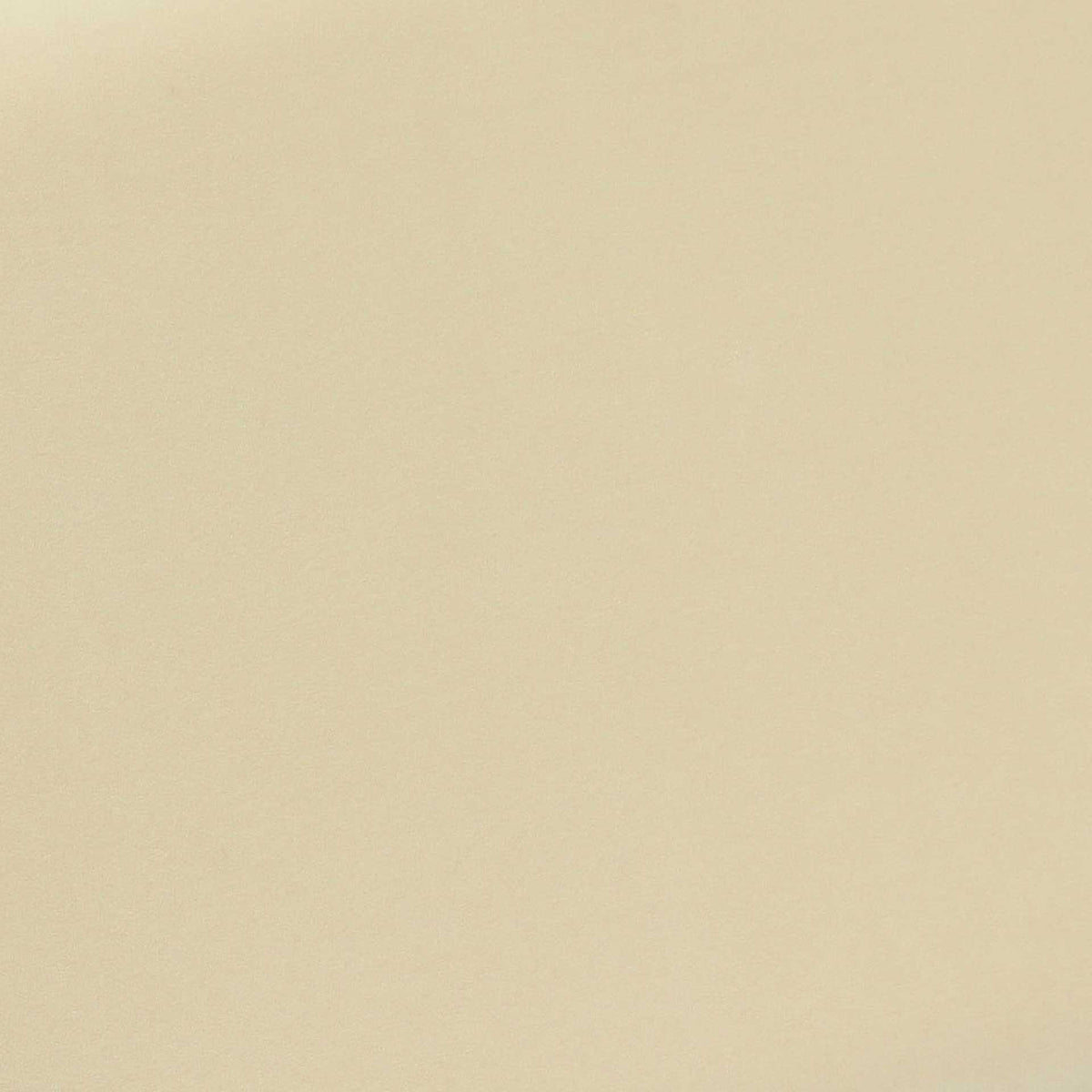 Lilah Velvet Storage Bench Cream