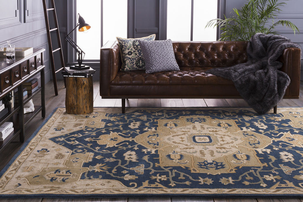 Caesar Navy/Light Gray Area Rug