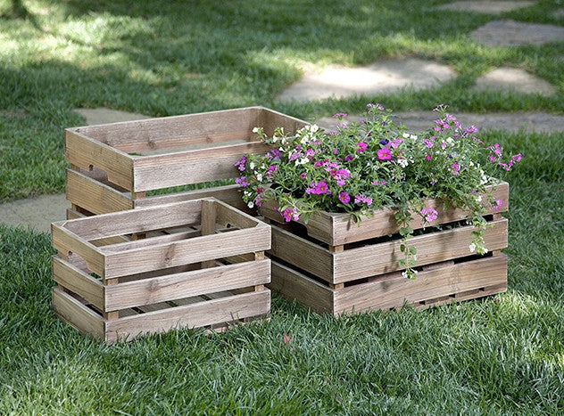Alexander Wood Crates