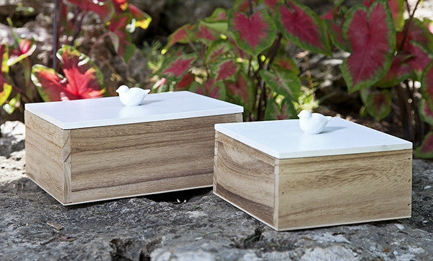 Madison Lidded Boxes (Set of 2)