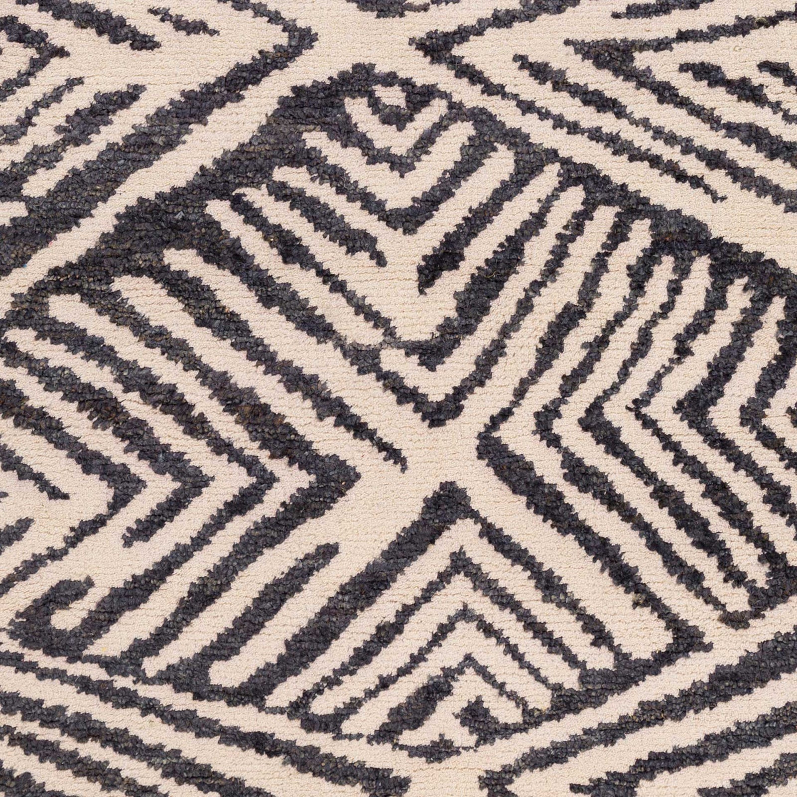 Orinocco Black/Cream/Light Gray Area Rug