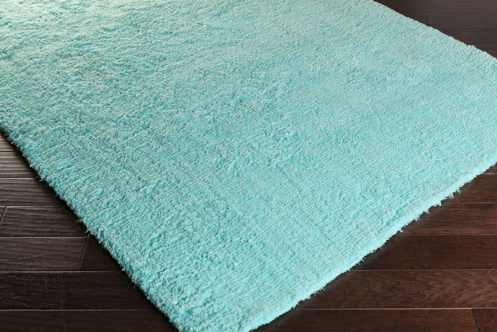 Pado Mint Area Rug - Froy.com
