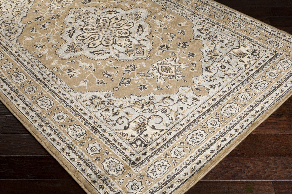 Paramount Taupe/Light Gray Area Rug