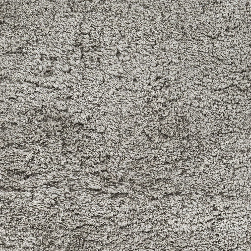 Sheba Light Gray Area Rug