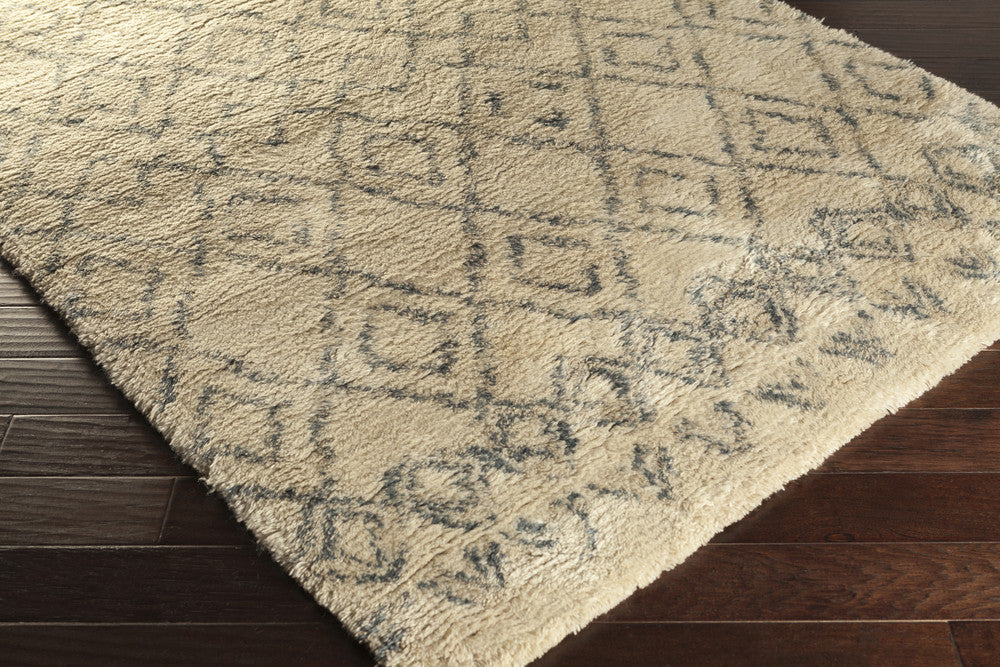 Tasman Beige/Gray Area Rug