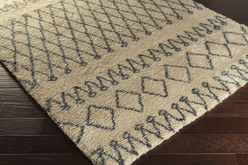 Tasman Beige/Slate Area Rug