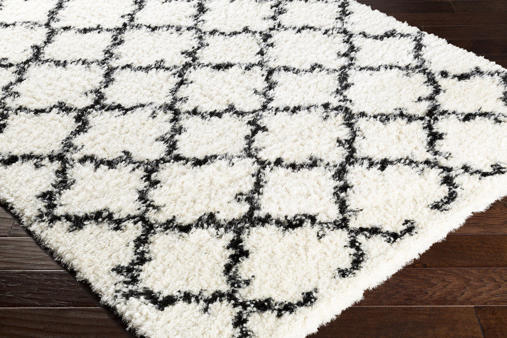 Winfield White/Black Area Rug