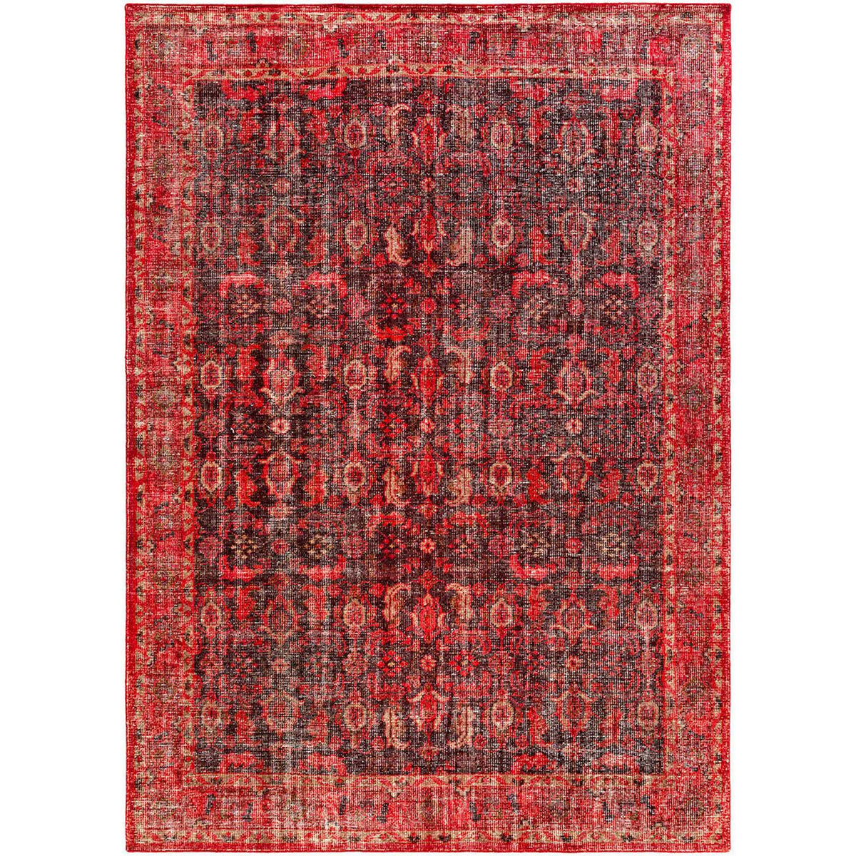 Zahra Chocolate/Cherry Area Rug - Froy.com
